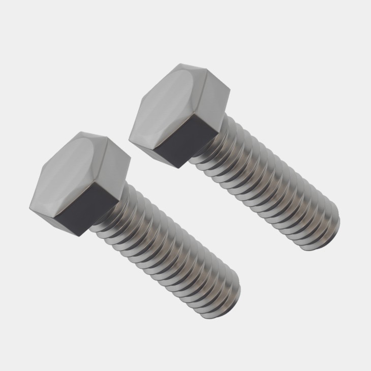 Stainless Steel Hex Head Bolts